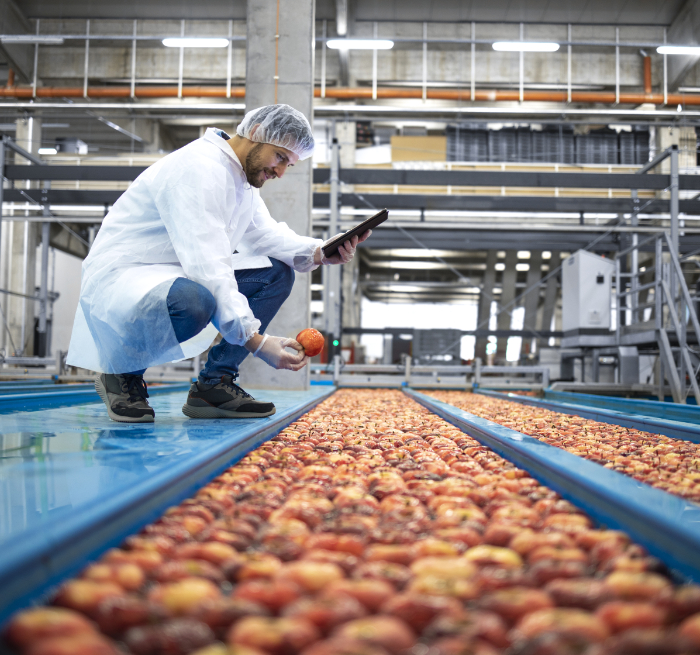 Food processing and technology