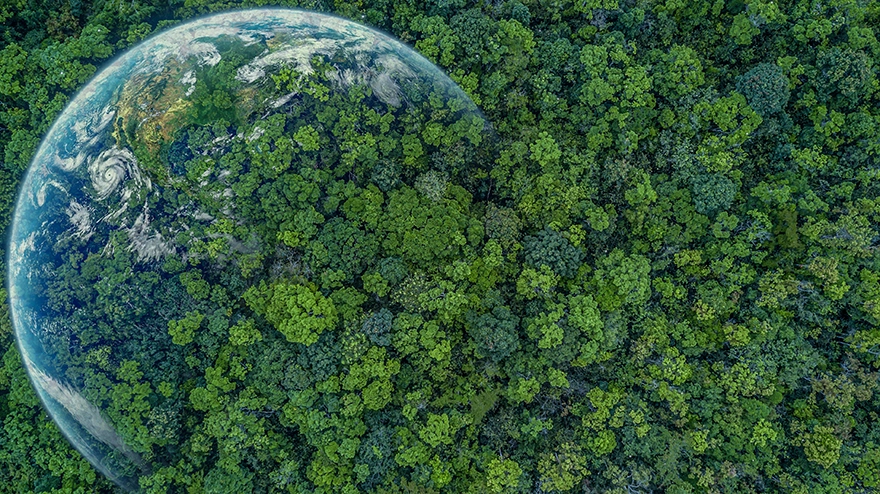 Earth globe ball surrounded by nature