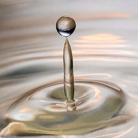 Getting rid of greenhouse gases