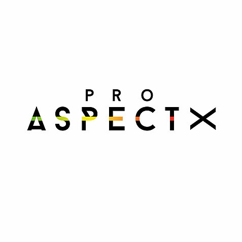 Pro-AspectX-Logo