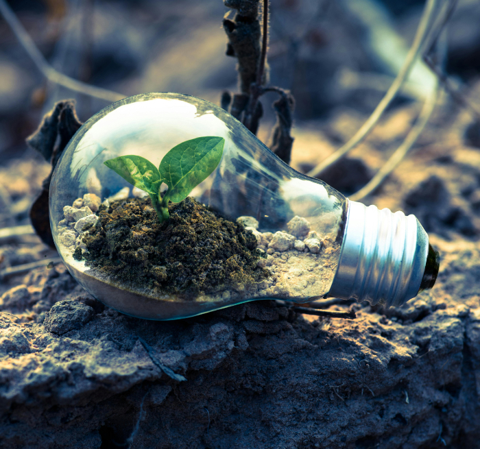 Advanced materials for sustainability