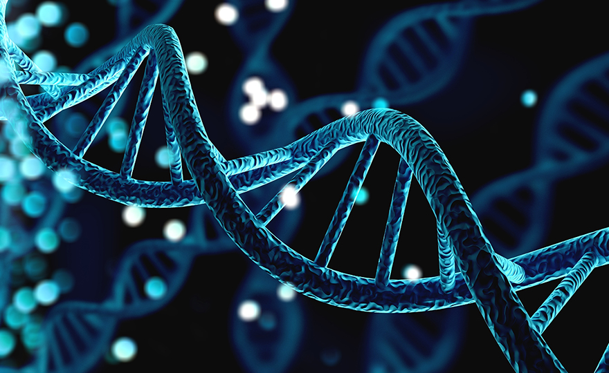 Menschliche DNA Struktur