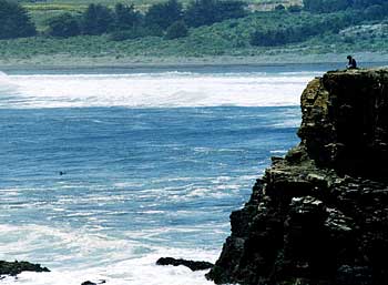 Punta de Lobos